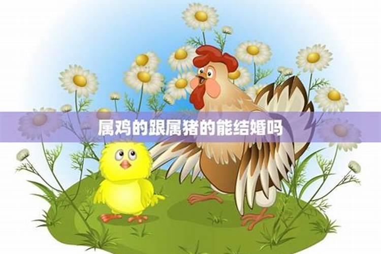 正月十五什么日子