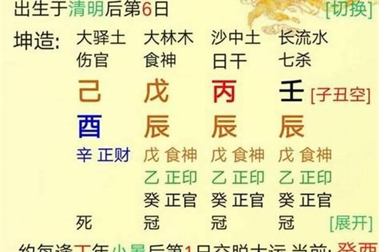 端午节什么动物