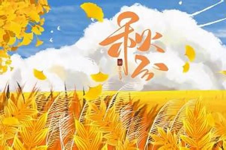 2025年82年狗女的全年运势如何