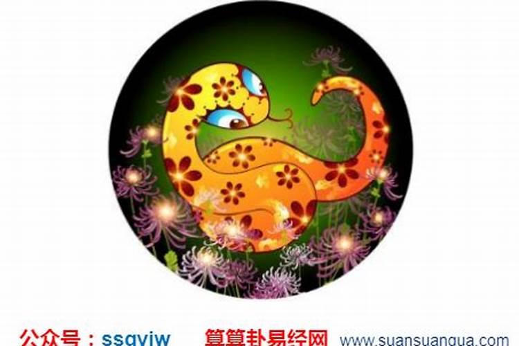 属龙人不同月份出生的运势