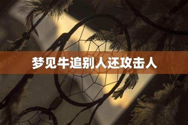 梦见被牛追赶攻击 不同的人梦见牛有不同意思