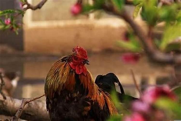 元宵节的风俗习惯有哪些 中国传统节日元宵节的风俗习惯