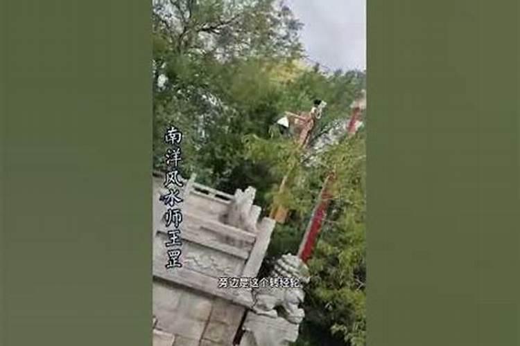 女人梦见被蛇追着跑是什么征兆