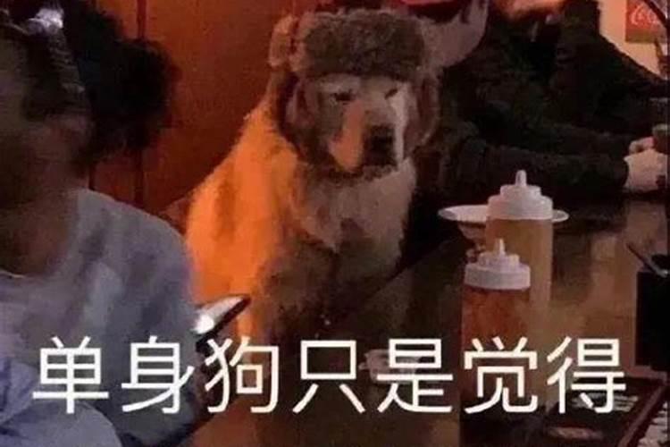 山东过年吃什么 山东年夜饭有哪些菜
