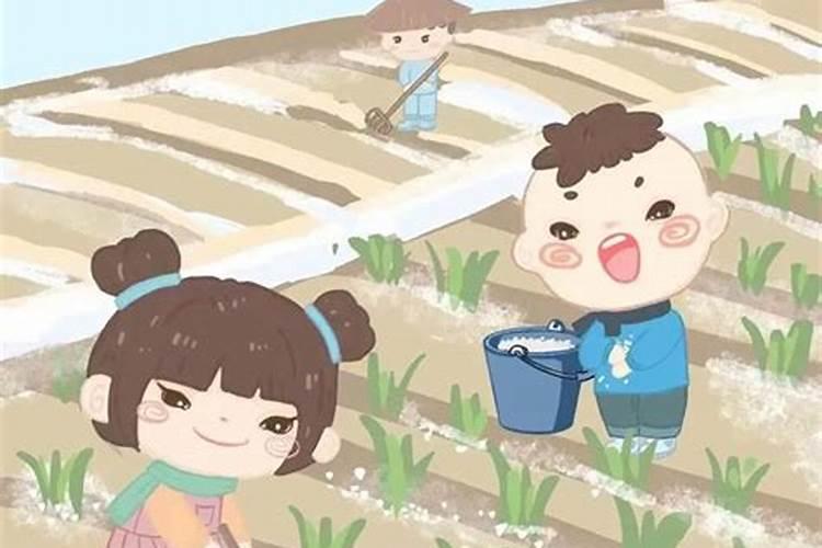 冲太岁是什么意思