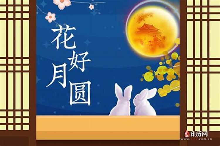 属马人哪一年犯太岁最严重,各方面运势如何