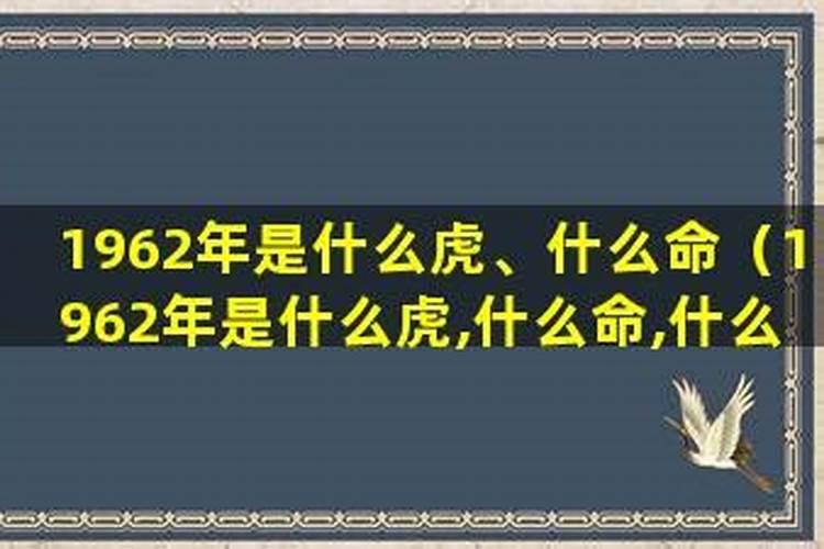 1962年是什么命