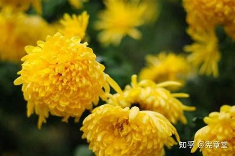 女人做梦梦见水好不好