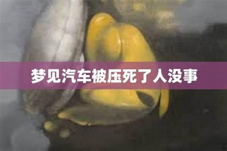87年兔2025年的运势