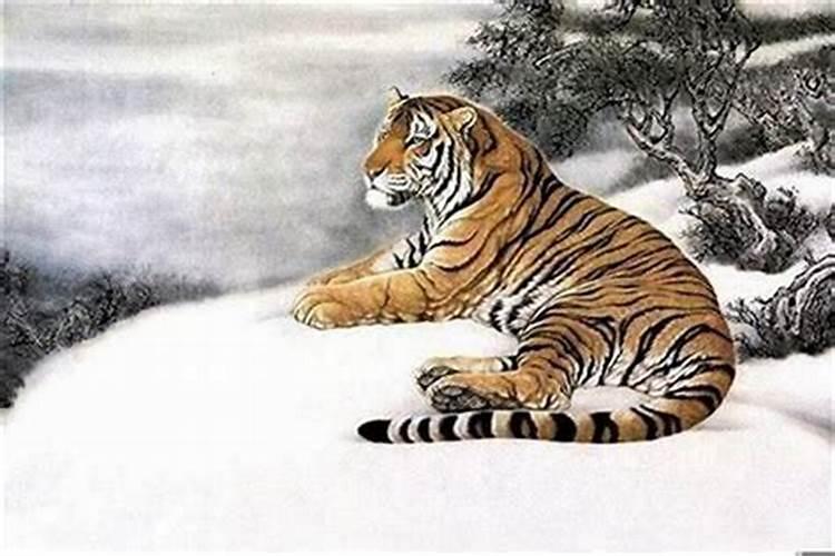 生肖猴1956年2025年运势如何 生肖猴1956年2025年全年运势