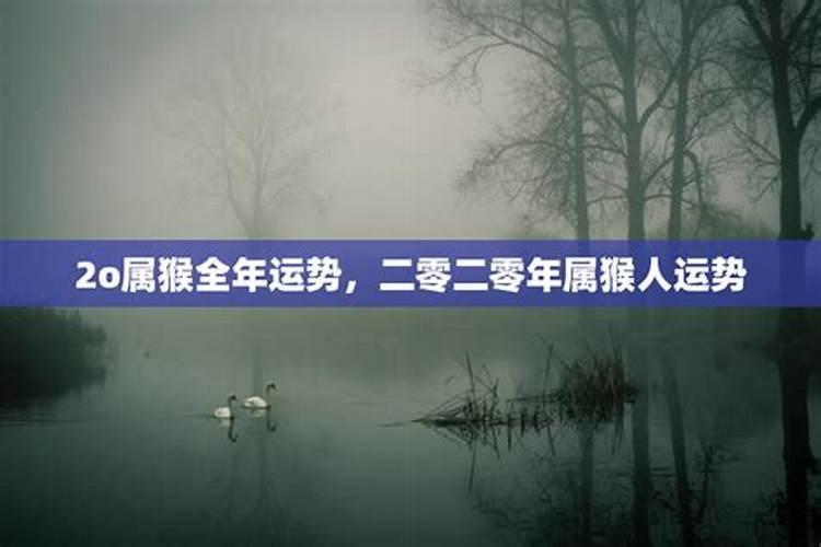 2025属猴今年有一难 2025年属猴人命运如何