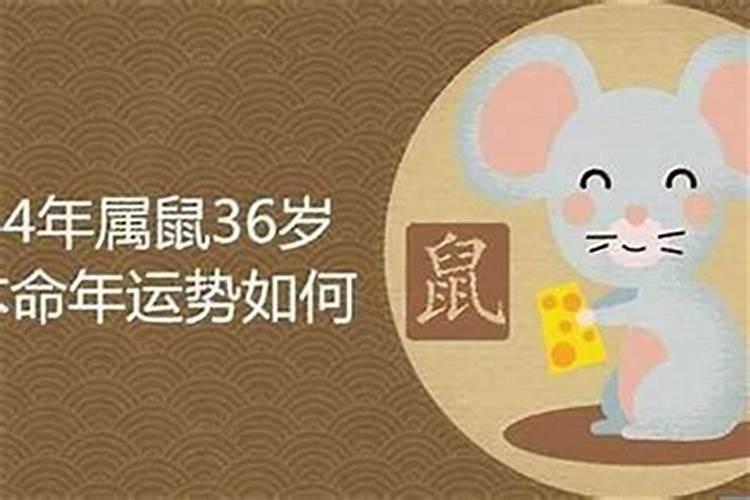 2025属虎人躲不过去的大难