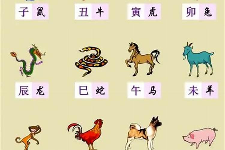 未来十年运势12生肖运势如何？