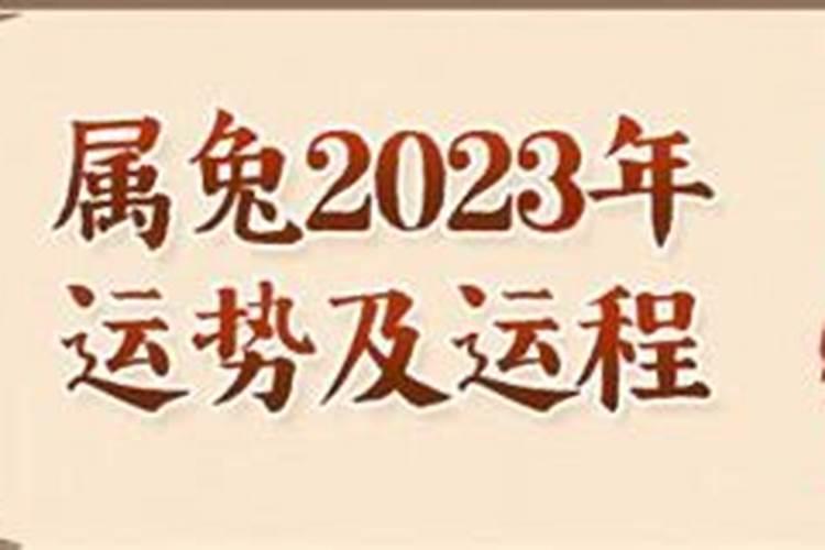 75年属兔的婚姻和命运如何,1975年属兔女一生婚姻