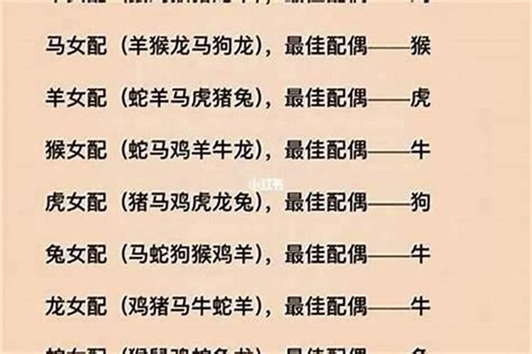 男属羊的和什么属相最合适