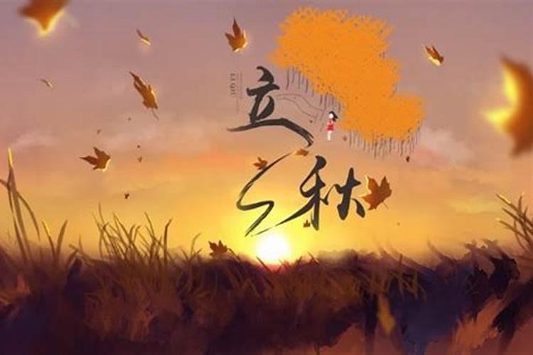 梦见自己车被撞坏了预示什么