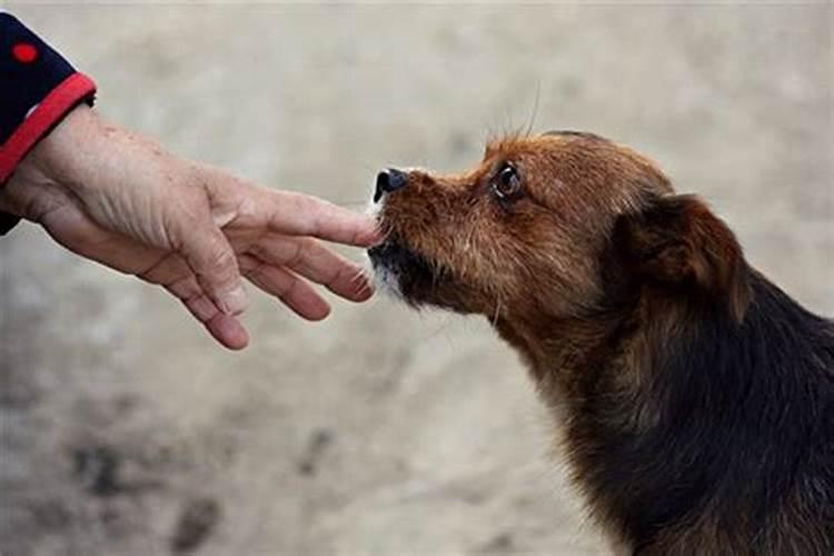 梦见自己喜欢的人和别人在一起了是什么意思