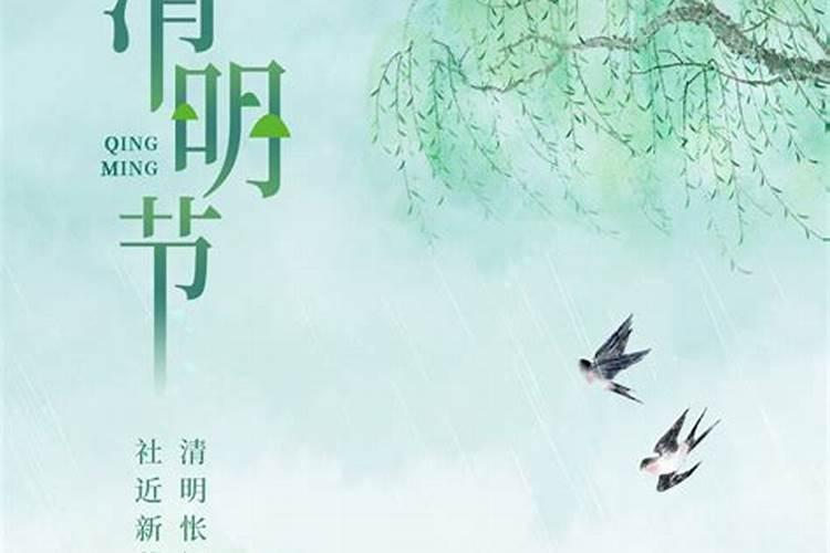 三月清明杨柳绿四月什么花正红