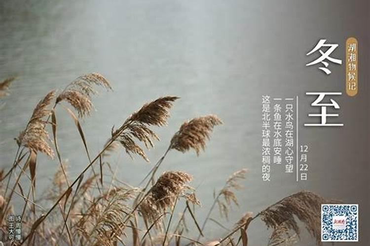 梦见和很多女人在一起场面欢乐的预兆