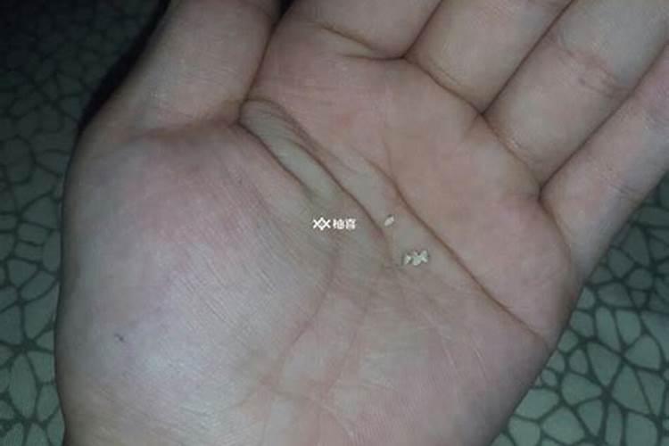 好听文雅的道家法号是什么？