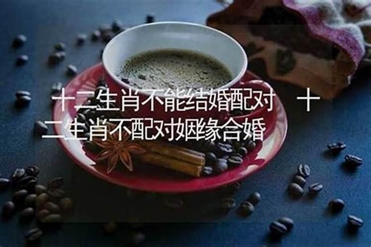 八字命理必背口诀？算命必背口诀