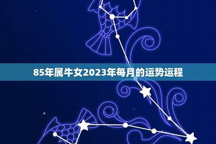 生于85年农历冬月15属牛;女;婚姻、财运、事业等运势怎样？