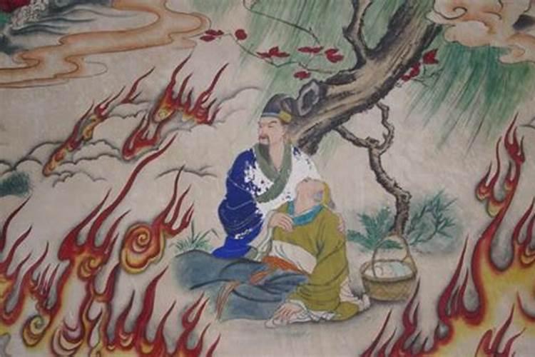生肖狗几月出生最有富贵命