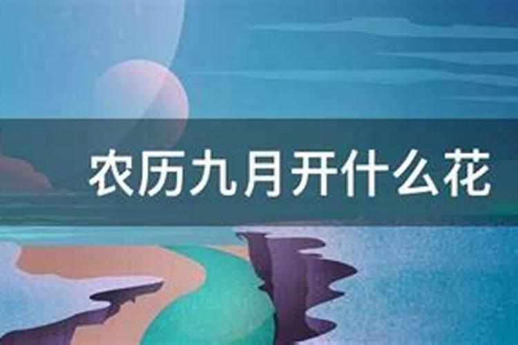 梦见和初恋女友亲密
