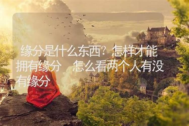 丁未羊今年每月运程 67年属羊56岁命中注定2024