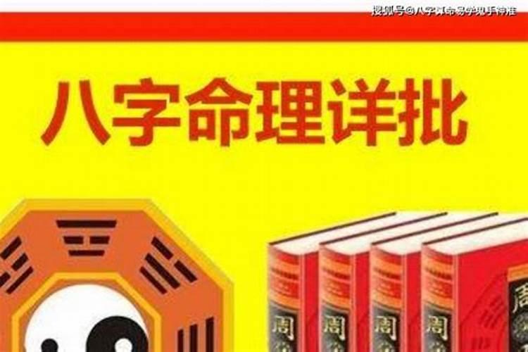 属猪的2024年下半年运势