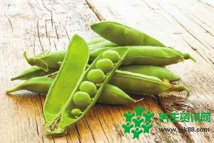 霍思燕面相命理分析