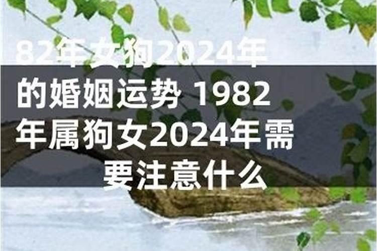 2025年82年狗女的全年运势如何