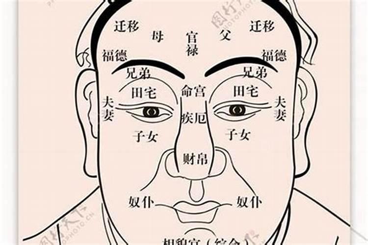 什么面相财气最旺财运最好