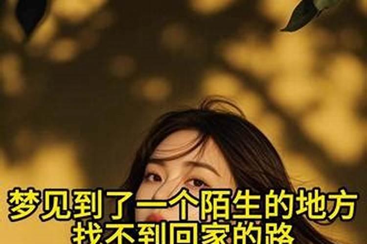 晚上梦到和公婆吵架了,是什么意思？