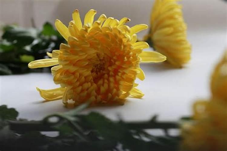 湖南人过清明节有什么风俗？