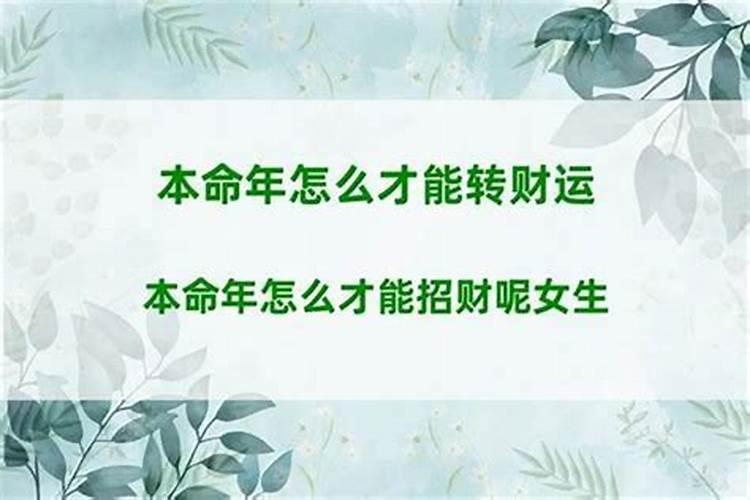 冬至炖羊肉汤放什么中药