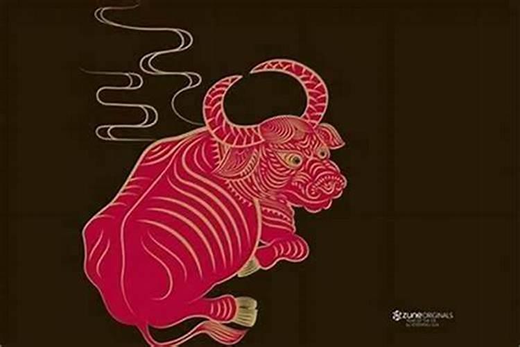 属龙的年份有哪些