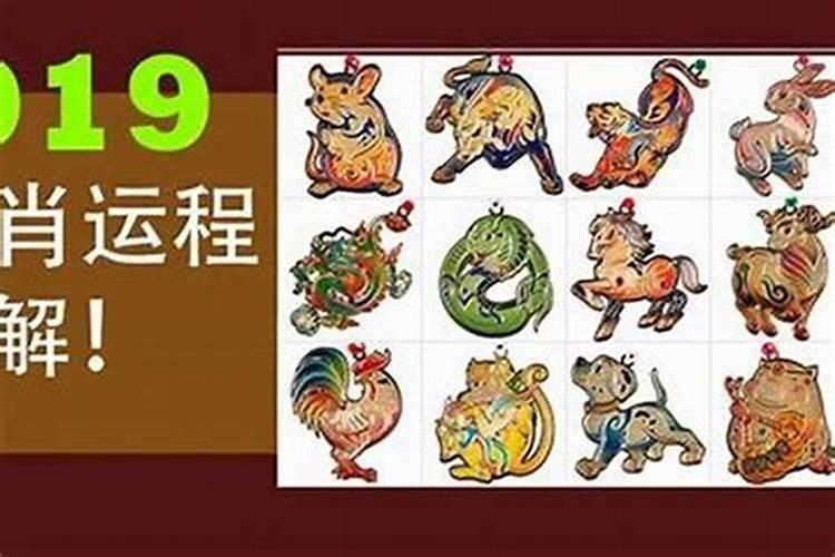 虎年生人和牛年生人相克吗？