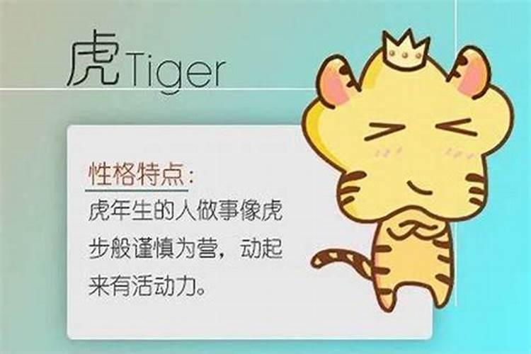 97属牛女和98属虎男相配吗,97年属牛的和98年属马的八字合吗？？