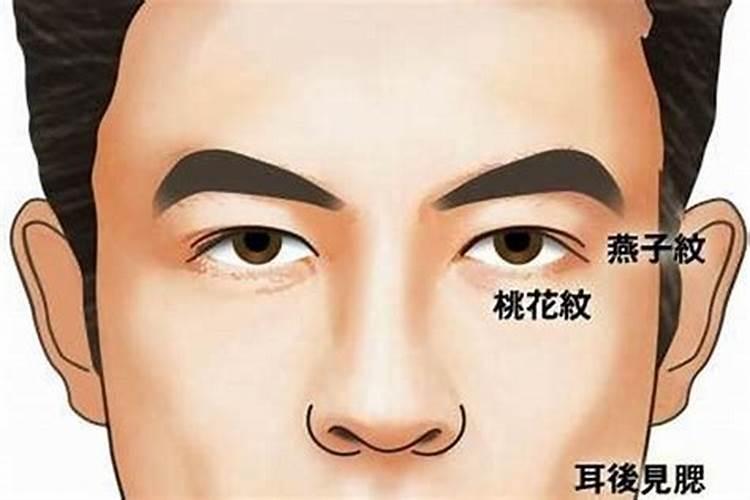 1992年的猴在2025年的运势怎么样