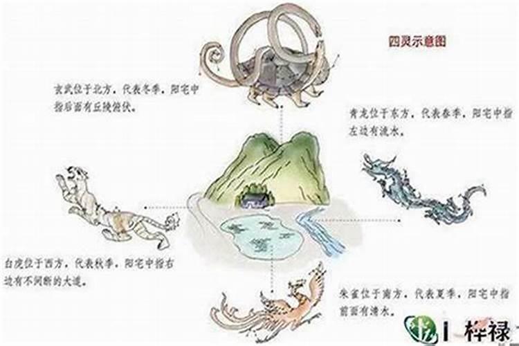 十二生肖属相犯太岁的年份,鼠年犯太岁的四个属相