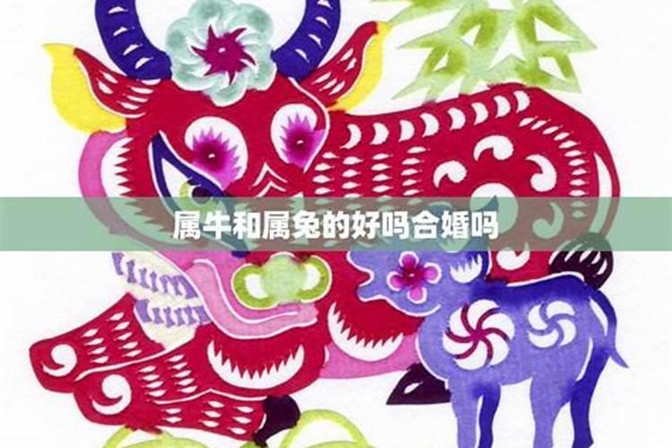 女孩文昌塔买几层最好学生