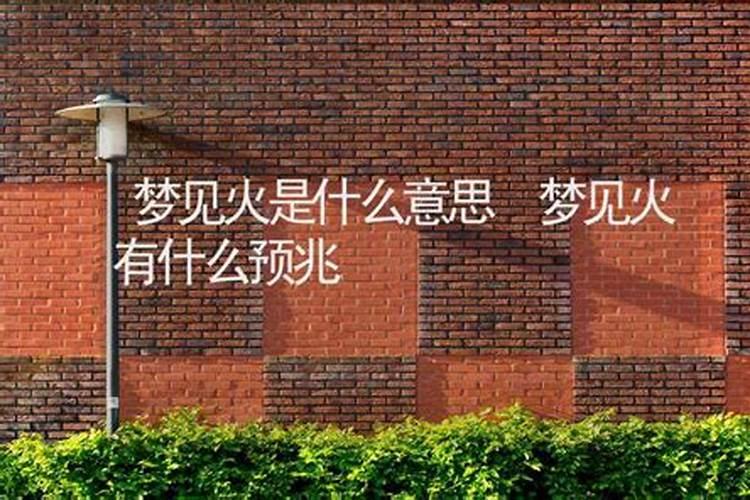 2025属猴犯太岁吗