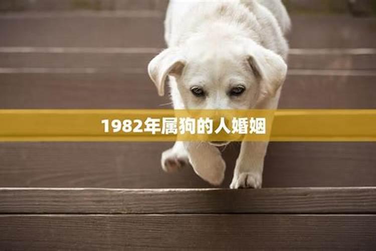 犯太岁会怎么样 有什么后果 怎么化解