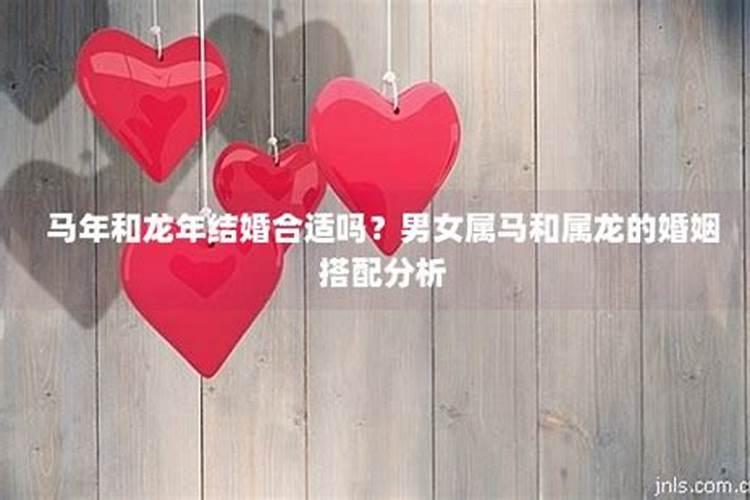 男属马的和女属龙的在一起合适吗？一个1990年一个2000啊