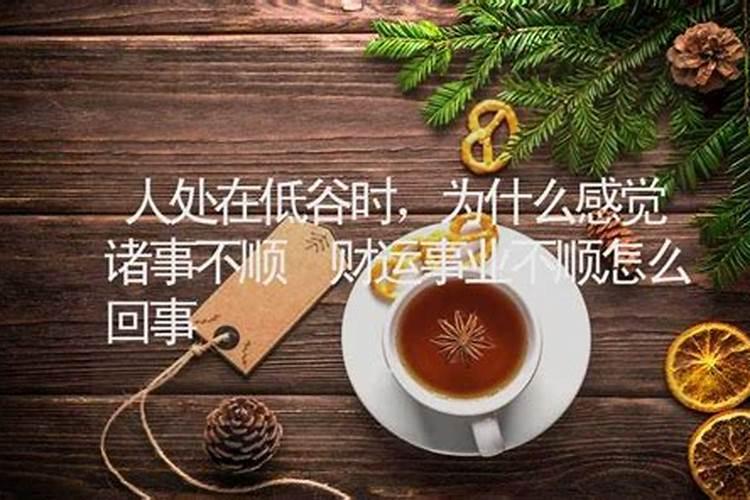 清明节去杭州哪里玩