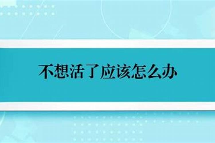 梦见猫咪很凶的预兆