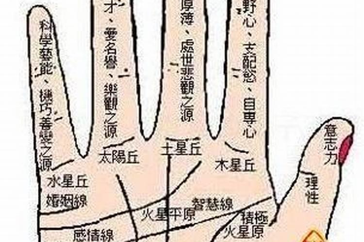 73年女2025年每月运势