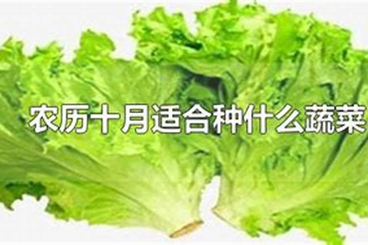 “生辰八字”被人知晓,真的会有很大风险吗？