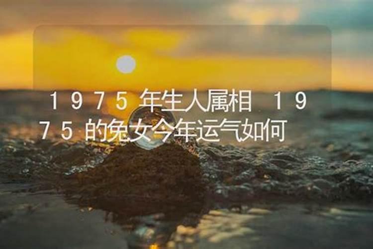 梦见老人变年轻了的预兆